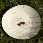 szampańska patera ceramiczna patera z czerwonej gliny w kolorze szampana na trawie z wiśniami